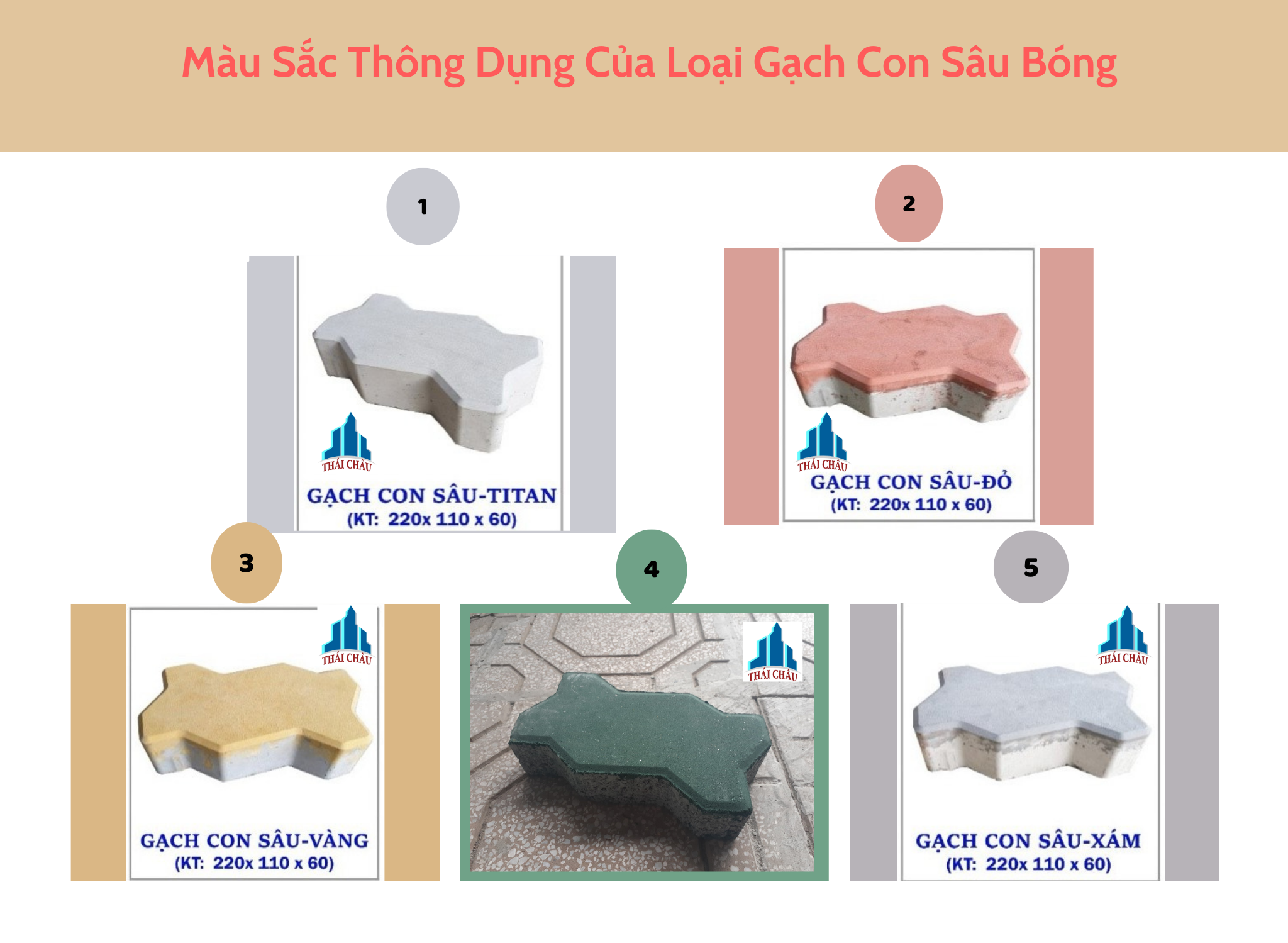 Các Loại Gạch Con Sâu Lát Vỉa Hè Phổ Biến Nhất